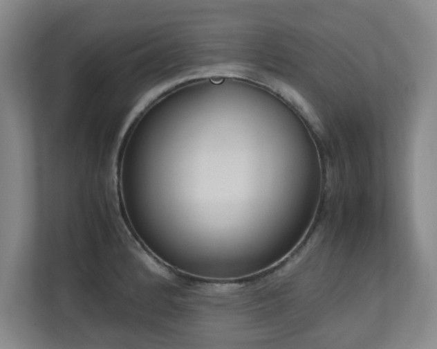 X0000110951184200906191244