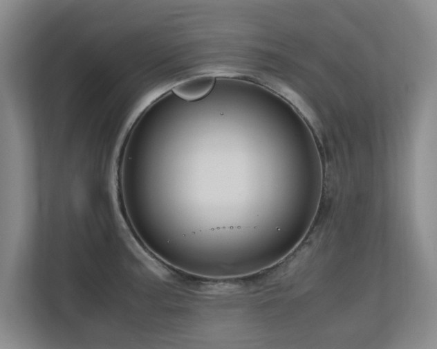 X0000110951187200906191244