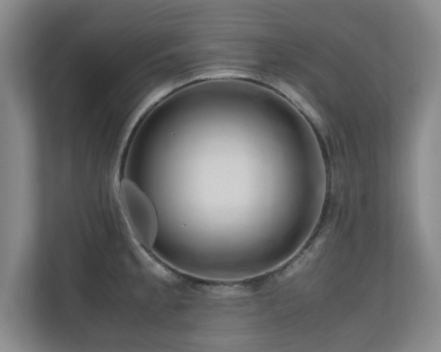 X0000110951189200906191244