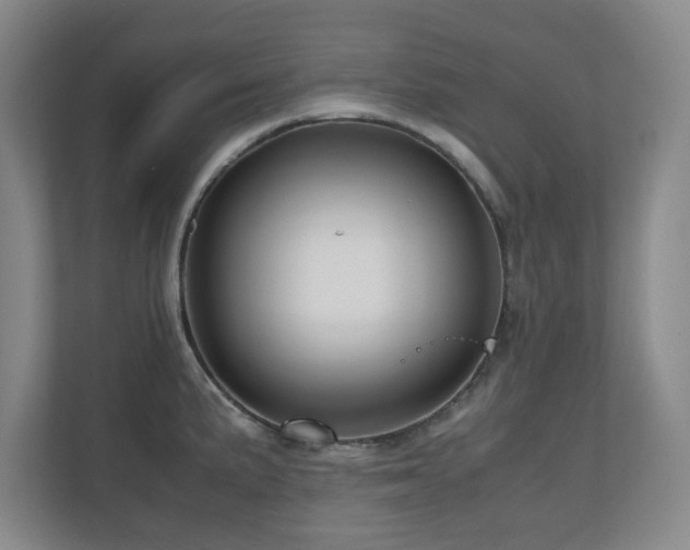 X0000110951191200906191244