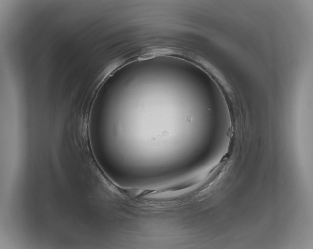 X0000110951193200906191244