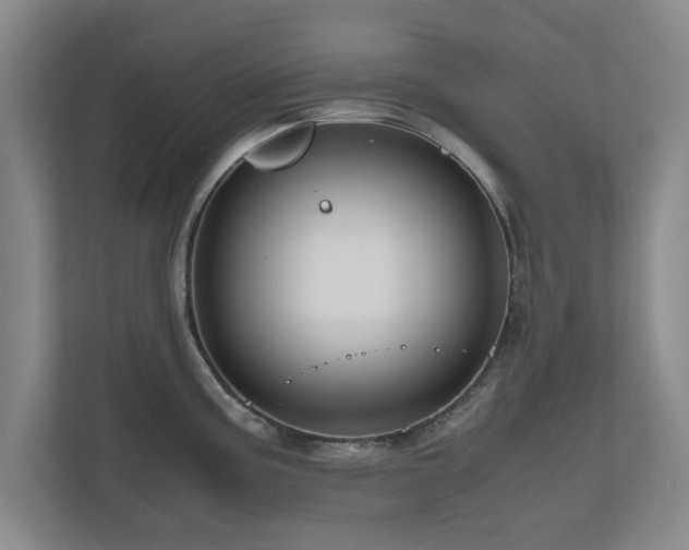 X0000110951195200906191244