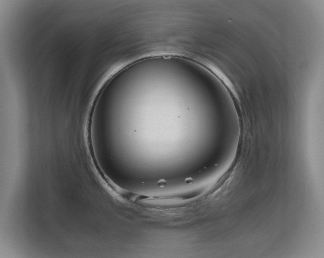 X0000110951197200906191244
