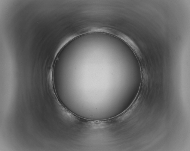 X0000110951198200906191244