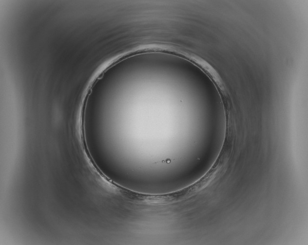 X0000110951199200906191244