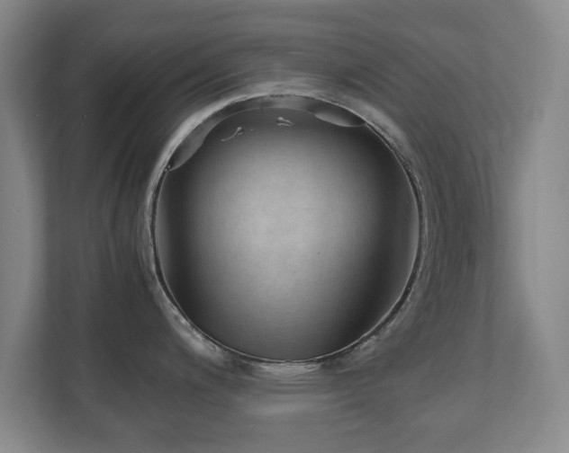 X0000110951200200906191244