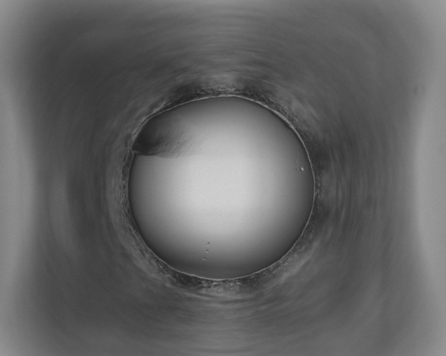 X0000110951201200906191244
