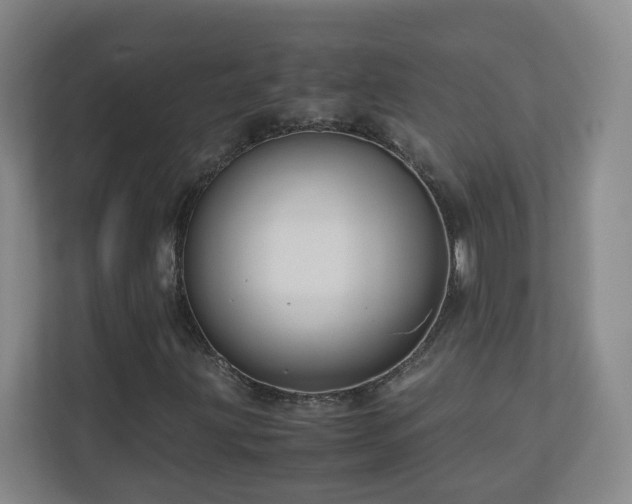 X0000110951203200906191244