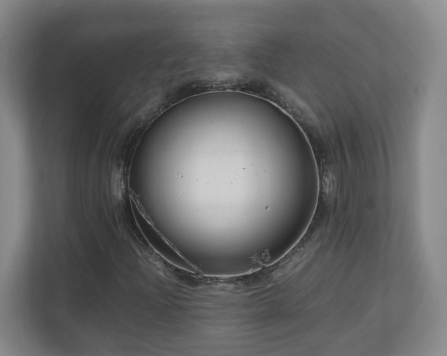 X0000110951204200906191244