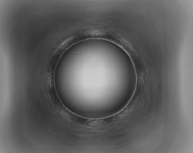 X0000110951205200906191244