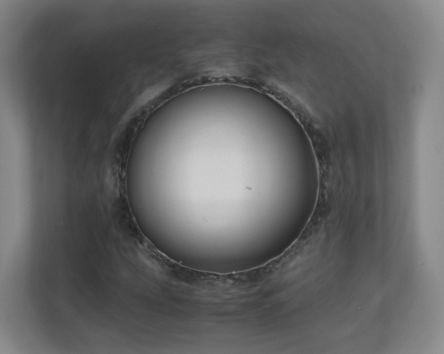 X0000110951207200906191244