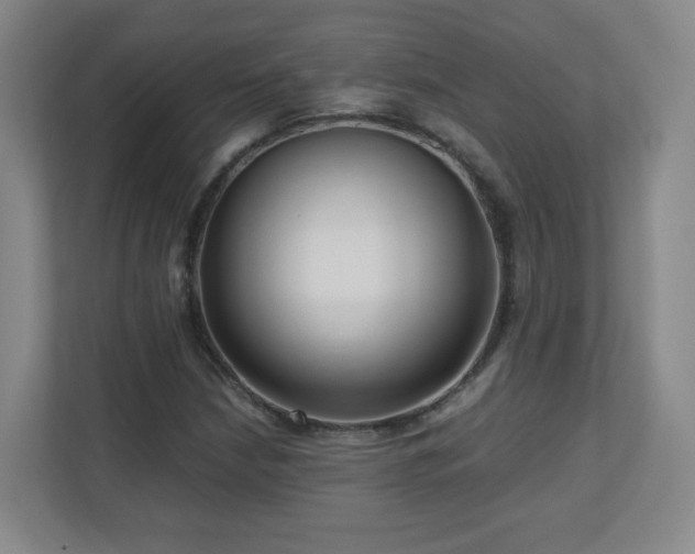 X0000110951210200906191244