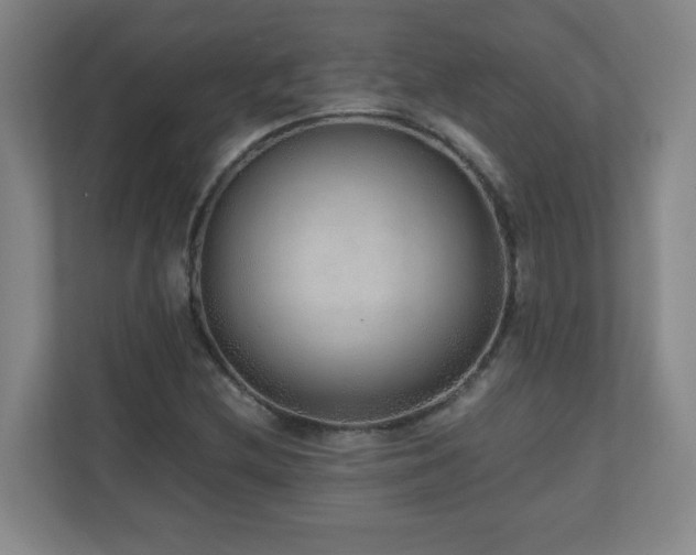 X0000110951212200906191244