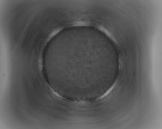 X0000110951213200906191244