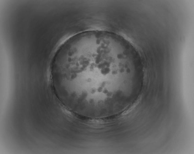 X0000110951215200906191244