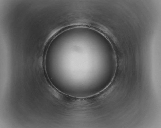 X0000110951216200906191244