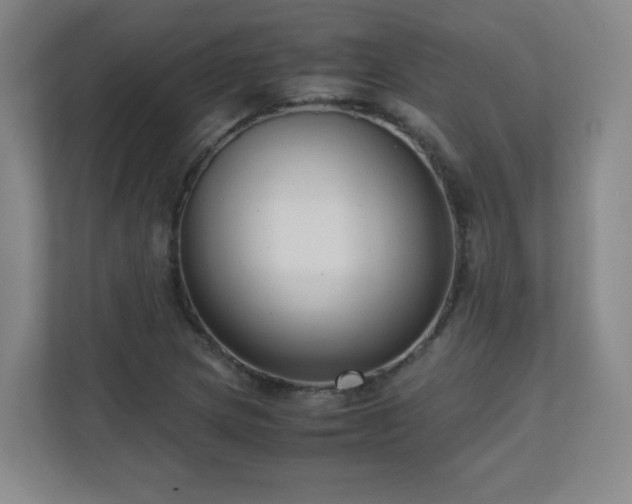 X0000110951217200906191244
