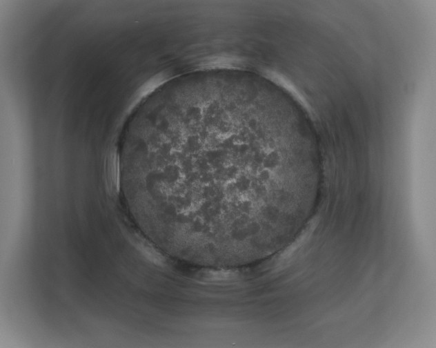 X0000110951219200906191244
