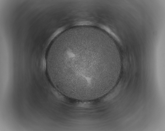 X0000110951221200906191244
