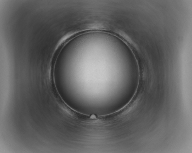 X0000110951222200906191244