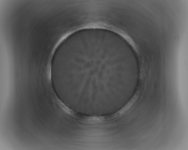 X0000110951224200906191244