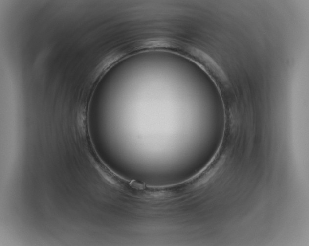 X0000110951225200906191244