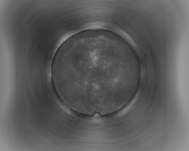X0000110951226200906191244