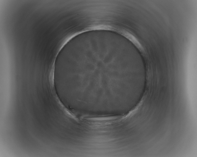 X0000110951228200906191244