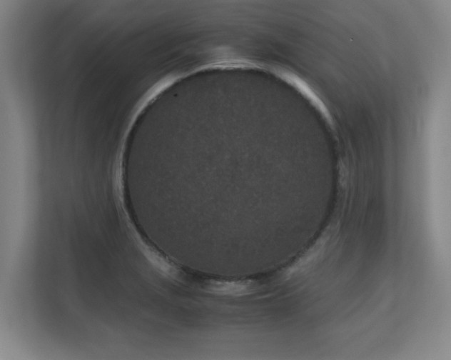 X0000110951229200906191244