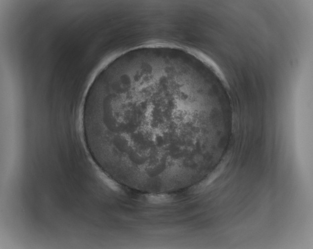 X0000110951231200906191244
