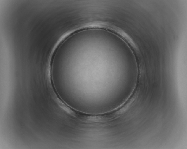 X0000110951232200906191244