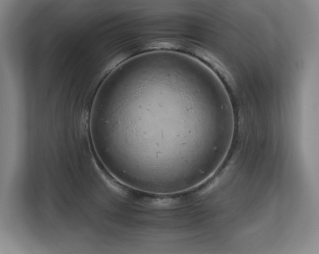 X0000110951233200906191244