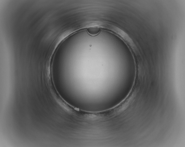 X0000110951234200906191244