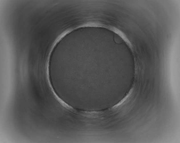 X0000110951237200906191244