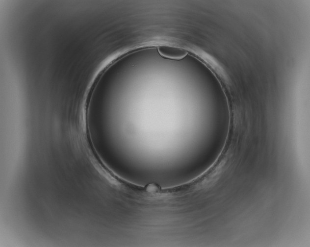 X0000110951238200906191244