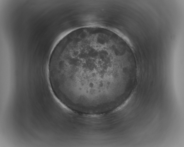 X0000110951239200906191244