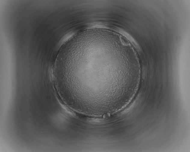 X0000110951241200906191244
