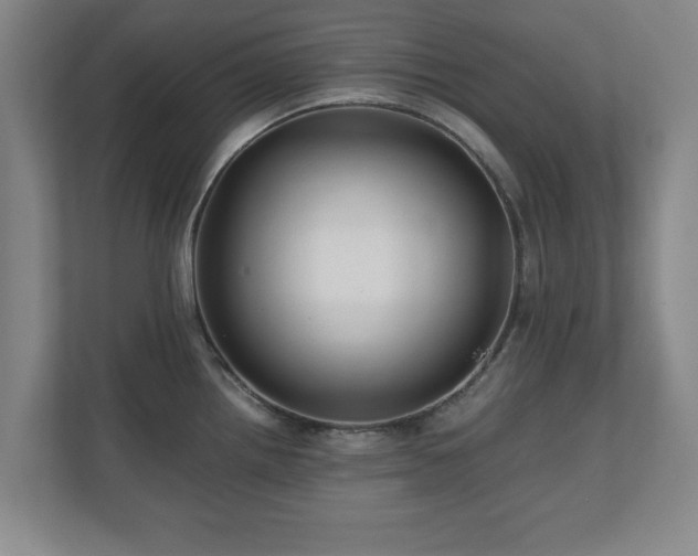 X0000110951242200906191244