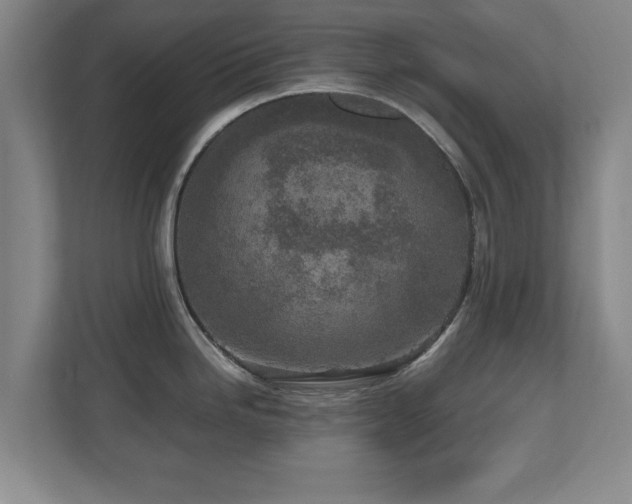 X0000110951246200906191244