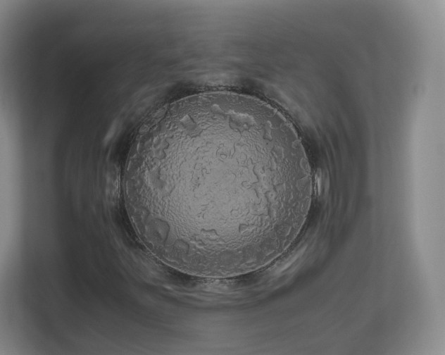 X0000110951251200906191244