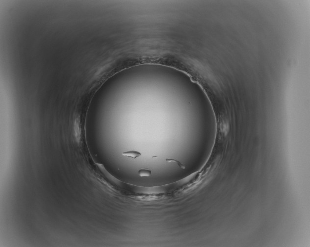 X0000110951252200906191244