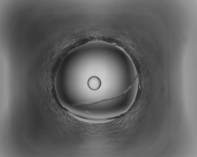 X0000110951253200906191244