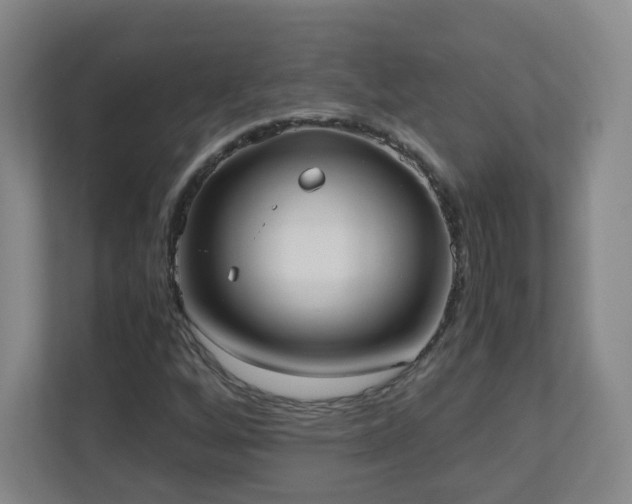 X0000110951256200906191243