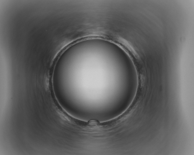 X0000110951260200906191243
