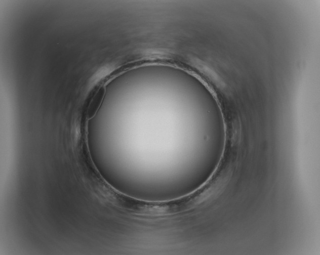 X0000110951261200906191243