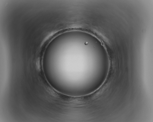 X0000110951262200906191243