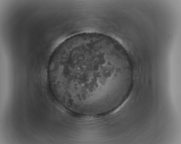 X0000110951263200906191243