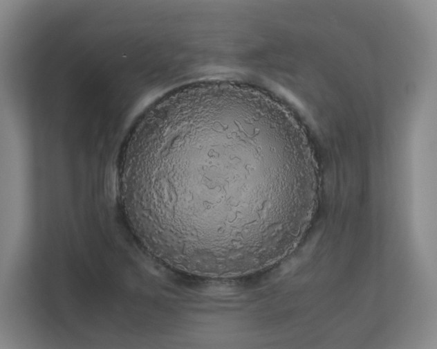 X0000110951267200906191243