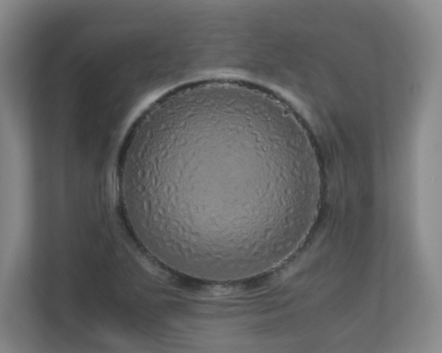 X0000110951271200906191243