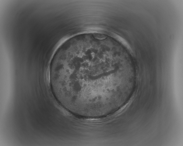 X0000110951275200906191243